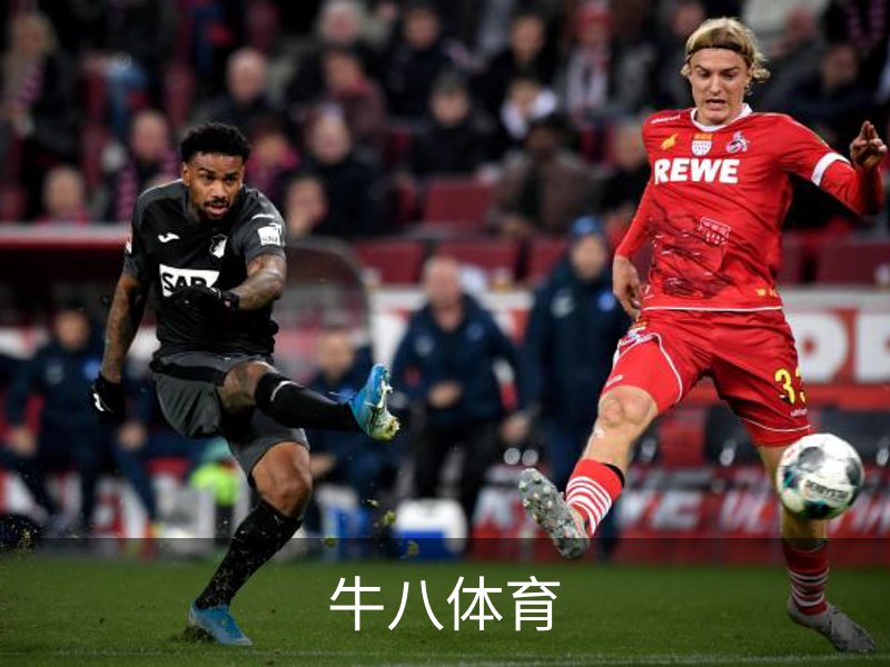 牛八体育简介